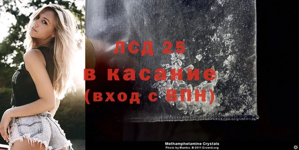 прущие грибы Алзамай