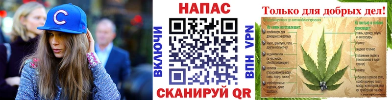 Бошки Шишки THC 21%  Купить закладки  Берёзовский 